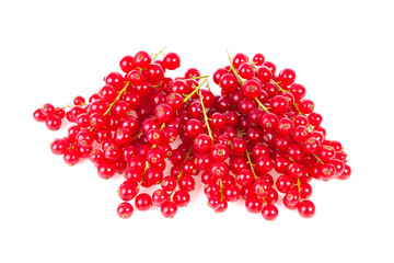 fresh red currant berries