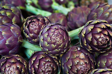 Fresh artichokes