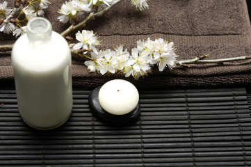still life of the aromatherapy