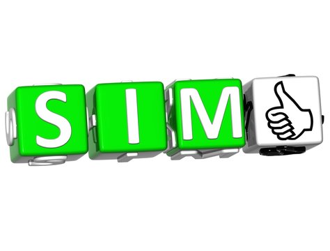 The word Sim  - Yes in many different languages.