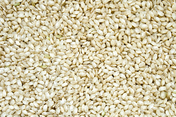 Integral rice