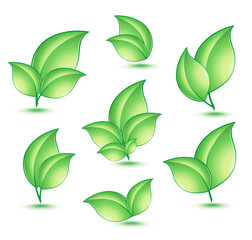 Green ecology concept icons with leaf