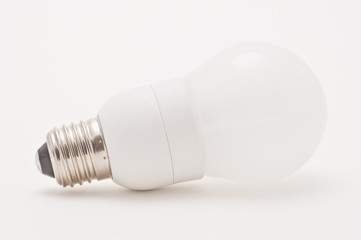 Studio shot of an environmentally friendly light bulb