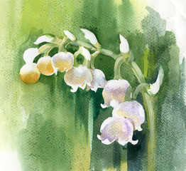 Watercolor Lillie of the Valley - 39121904