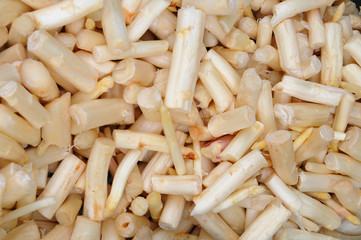 Weha Spargel