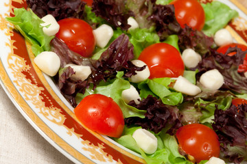Italian salad with mozarella
