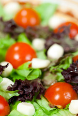 Italian salad with mozarela