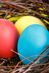 Easter eggs in a nest