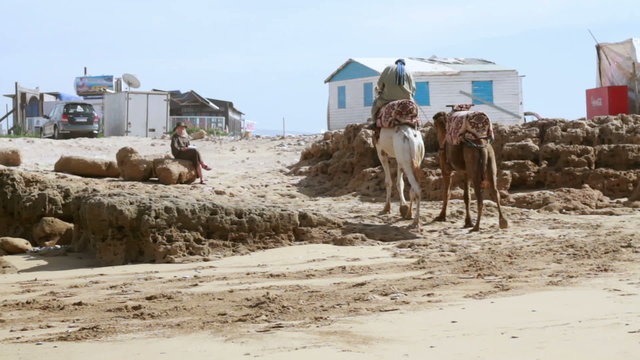 Man riding camel on the beach