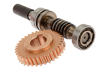 Worm-drive cone