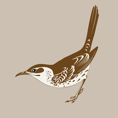 thrush silhouette on brown  background