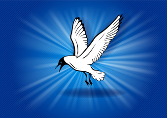 flying blue