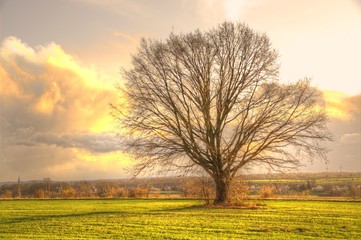 Fototapeta premium Abendrot