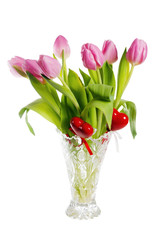 Pink tulips, it is isolated on white