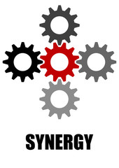 Synergy 1