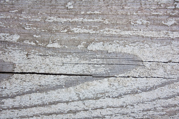 texture of the old wood