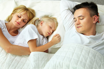 Obraz premium Sleeping at home