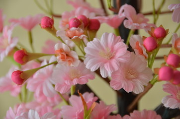 ひな飾りの桃の花