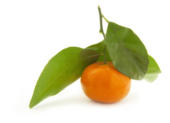 Mandarin with green leaf.