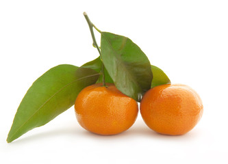 Mandarin with green leaf.