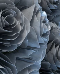 Wandcirkels aluminium Metalen rozen © Mopic