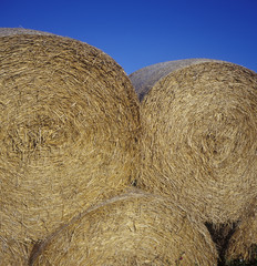 Bales of Hay