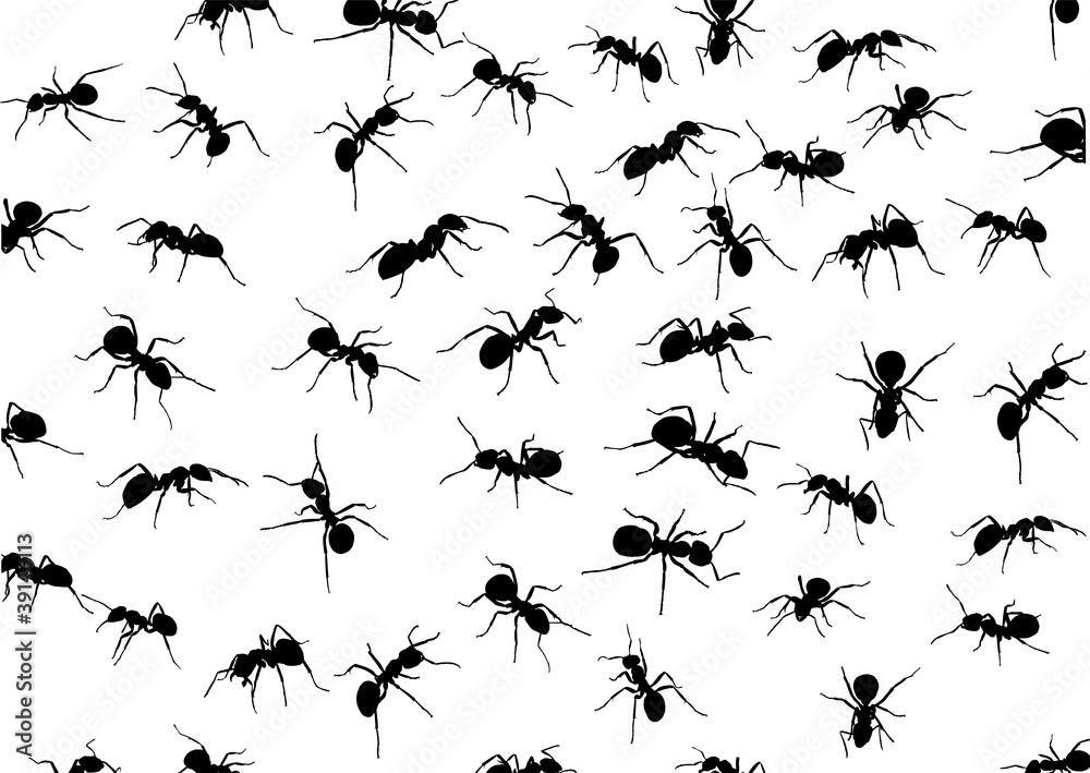 Sticker background with isolated ants