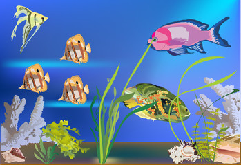 Fototapeta na wymiar tropical fishes in sea illustration