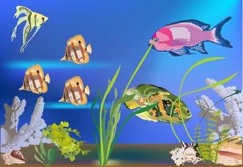 Photo sur Plexiglas Sous-marin poissons tropicaux dans l& 39 illustration de la mer