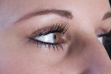 Close-up of womans eyes.
