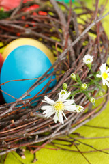 Easter eggs in a nest