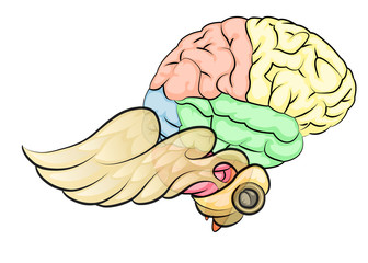 brain eith wings