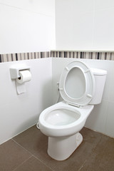 Toilet seat