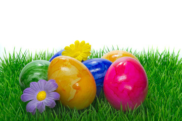 Fototapeta na wymiar Painted Easter eggs on grass with white background copy space