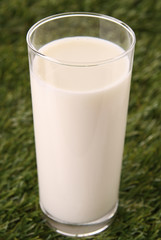fresh glass of milk