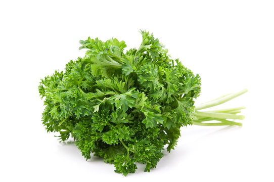 fresh parsley isolated
