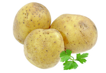 Potato. Isolated on white background.
