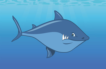 shark Great White swimming ocean