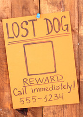 Color advertisement lost
