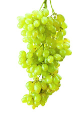 grape isolated