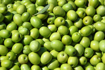 Olive