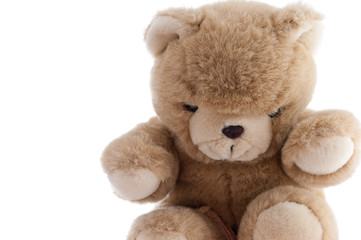 Teddy