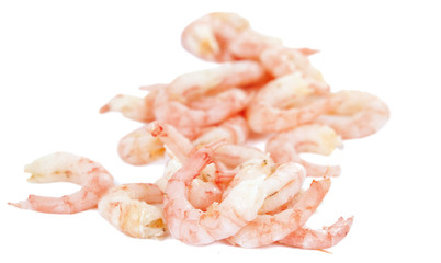 shrimp meat isolated