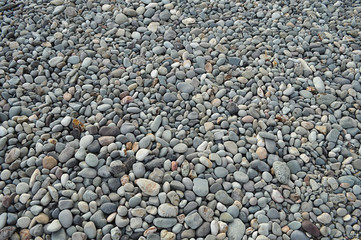 Pebble