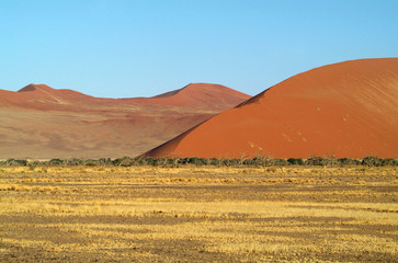 Fototapeta na wymiar Desert Namibie71