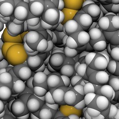 vulcanized polyisoprene (vulcanized rubber)