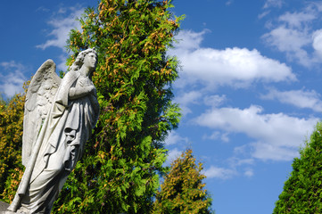 Angel in the cemetery Svitavy, Czech Republic