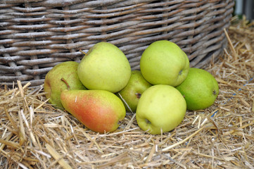 Äpfel und Birnen