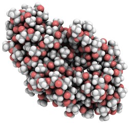 Polylactic acid (PLA)