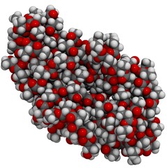 Polylactic acid (PLA)